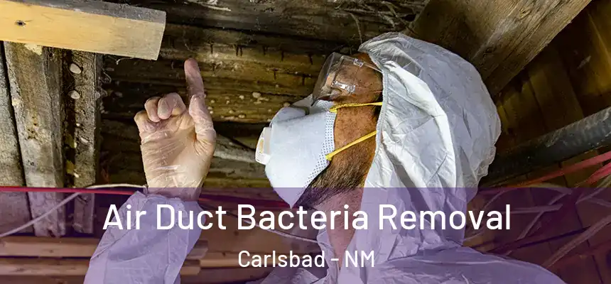  Air Duct Bacteria Removal Carlsbad - NM