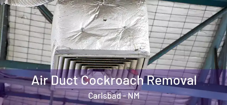  Air Duct Cockroach Removal Carlsbad - NM