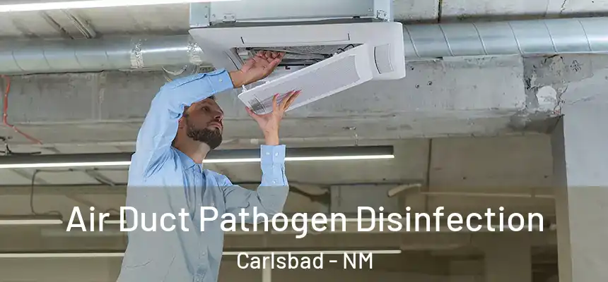  Air Duct Pathogen Disinfection Carlsbad - NM