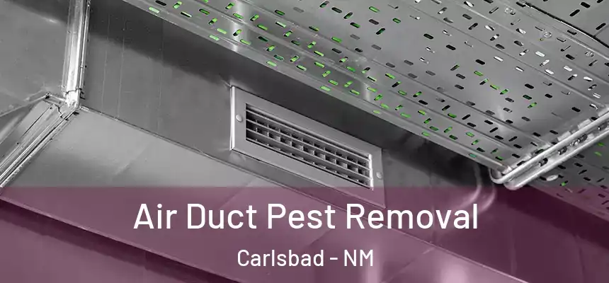  Air Duct Pest Removal Carlsbad - NM