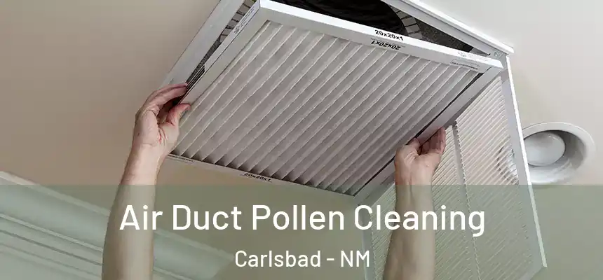  Air Duct Pollen Cleaning Carlsbad - NM