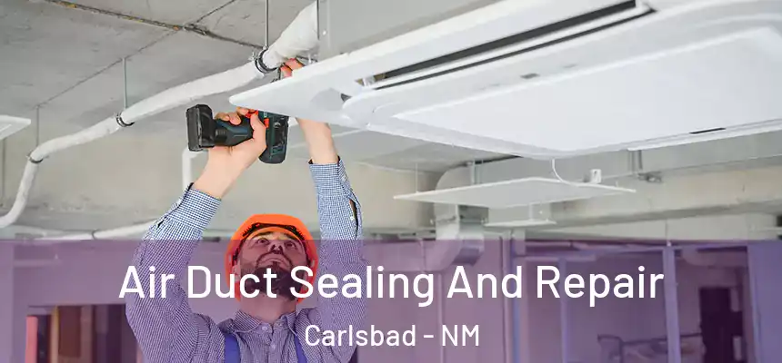  Air Duct Sealing And Repair Carlsbad - NM