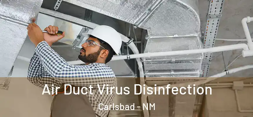  Air Duct Virus Disinfection Carlsbad - NM