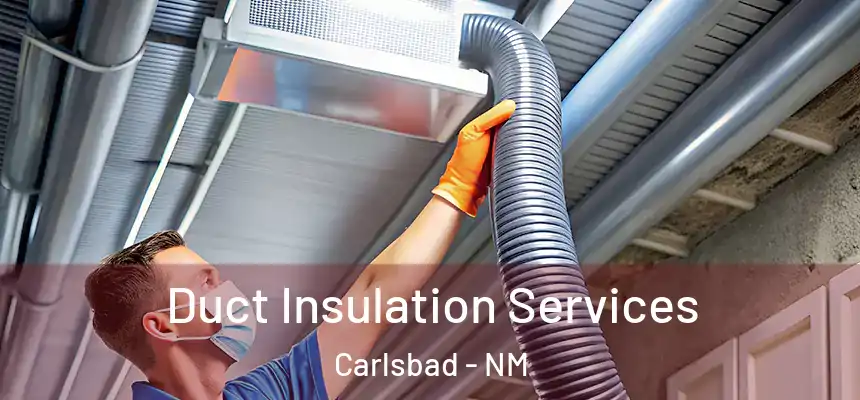 Duct Insulation Services Carlsbad - NM