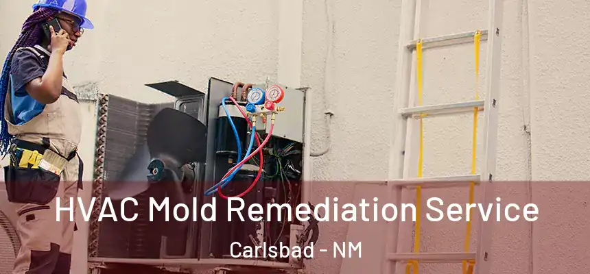 HVAC Mold Remediation Service Carlsbad - NM