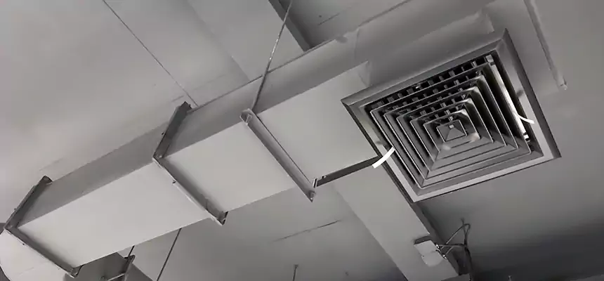 Our Pest Removal From Ducts Services in Carlsbad, NM