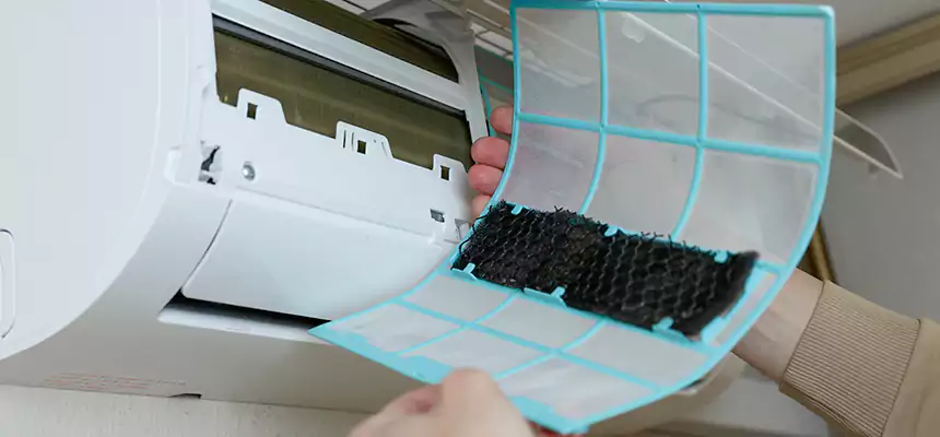 Gentle Ductwork Odor-Control Pet Dander Duct Cleaning in Carlsbad, NM