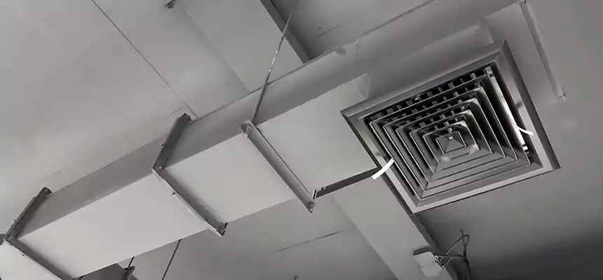 Our Rodent Droppings In Vents Services in Carlsbad, NM