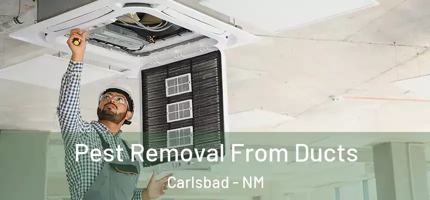  Pest Removal From Ducts Carlsbad - NM