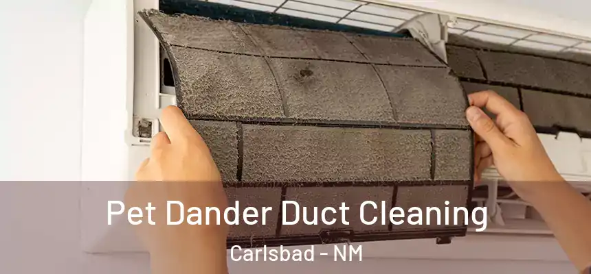  Pet Dander Duct Cleaning Carlsbad - NM