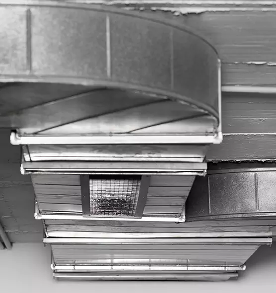 Professional Air Duct Pet Hair Removal in Carlsbad, NM