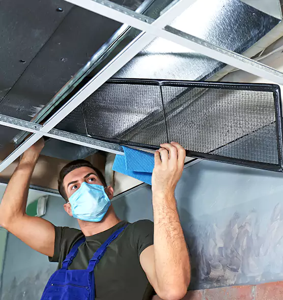 Professional Air Duct Pollen Cleaning in Carlsbad, NM