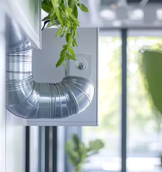 Professional Eco-Safe Dryer Vent Cleaning in Carlsbad, NM