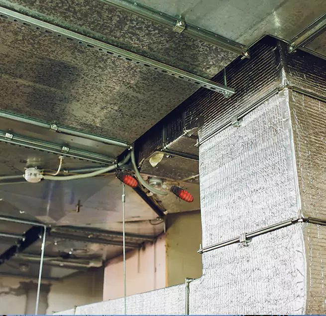 Why Homeowners & Businesses Trust Us in Carlsbad, NM?