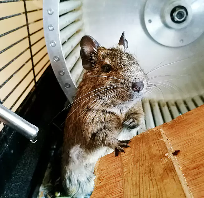 Why Homeowners & Businesses Trust Us Carlsbad, NM